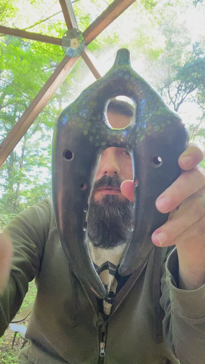 Mandible Mirror Drone